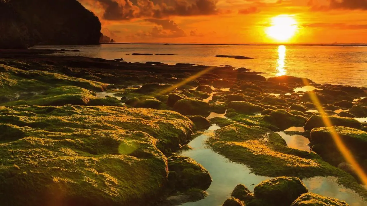 Bale Bingin Beachfront Stay Uluwatu Affittacamere